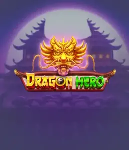 Присоединитесь к легендарное приключение с Dragon Hero от Pragmatic Play, освещающей яркую визуализацию древних драконов и героических битв. Погрузитесь в землю, где легенда встречается с приключением, с символами вроде зачарованных оружий, мистических существ и сокровищ для очаровательного приключения.